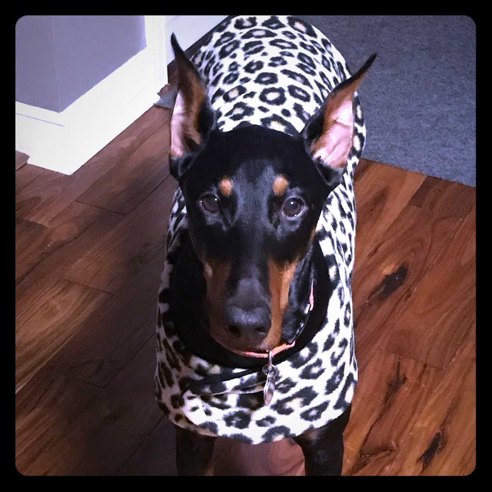 Meet your Posher, Abbey